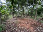 කඩවත- ගණේමුල්ල (වැලිපිල්ලෑව) අසල පර්චස් 15ක වටිනා ඉඩම විකිණීමට