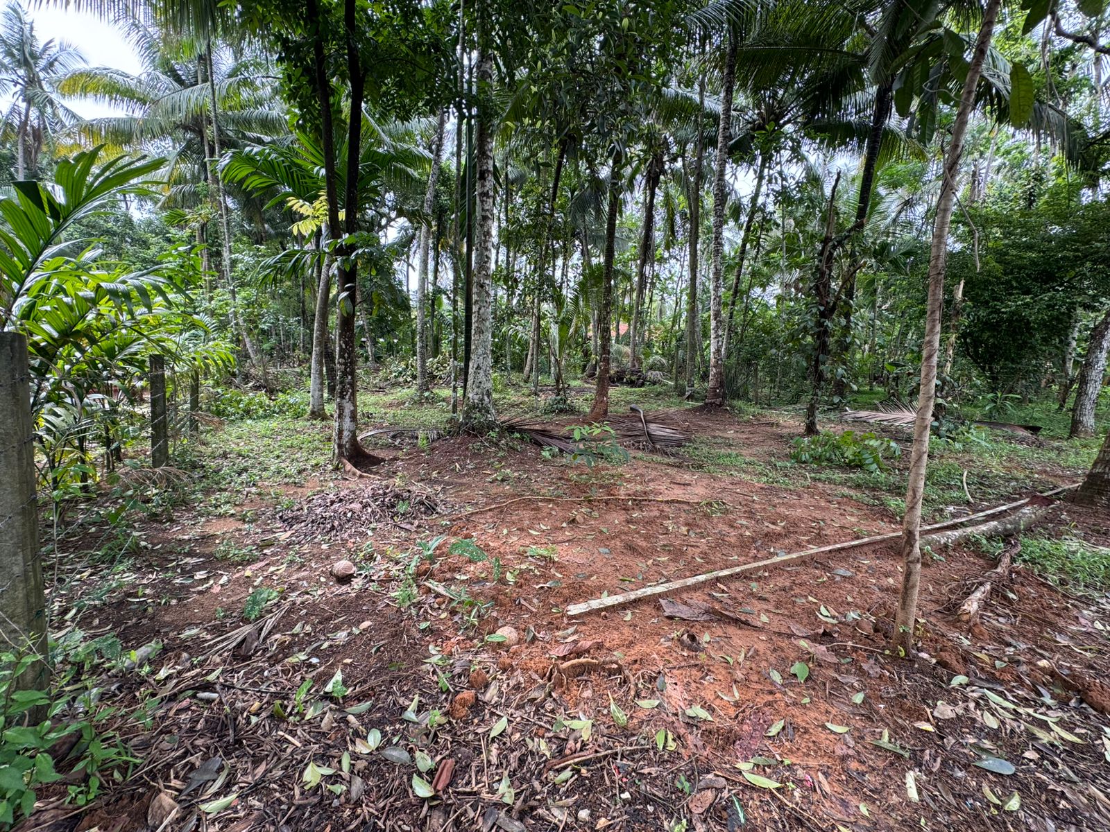 කඩවත- ගණේමුල්ල (වැලිපිල්ලෑව) අසල පර්චස් 15ක වටිනා ඉඩම විකිණීමට