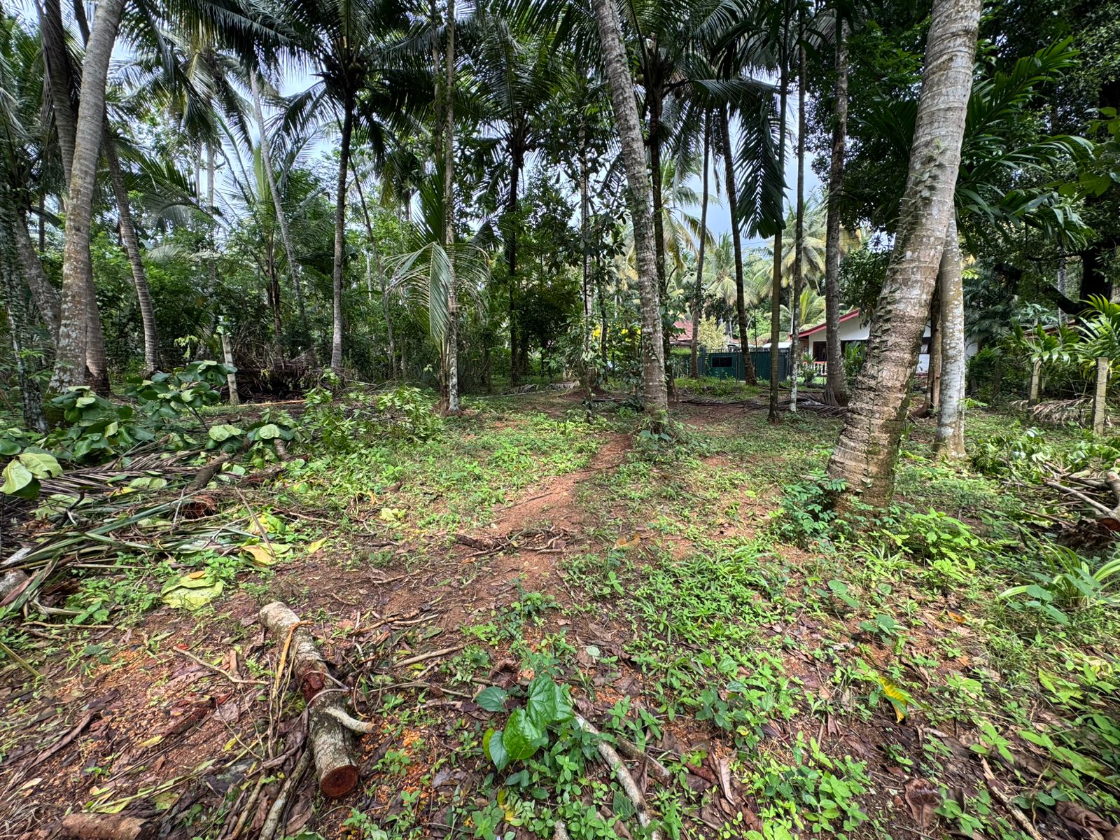 කඩවත- ගණේමුල්ල (වැලිපිල්ලෑව) අසල පර්චස් 15ක වටිනා ඉඩම විකිණීමට
