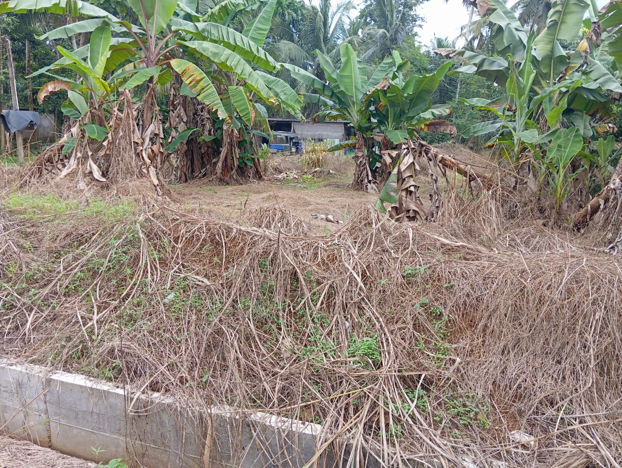 Land for Sale – Dadigamuwa