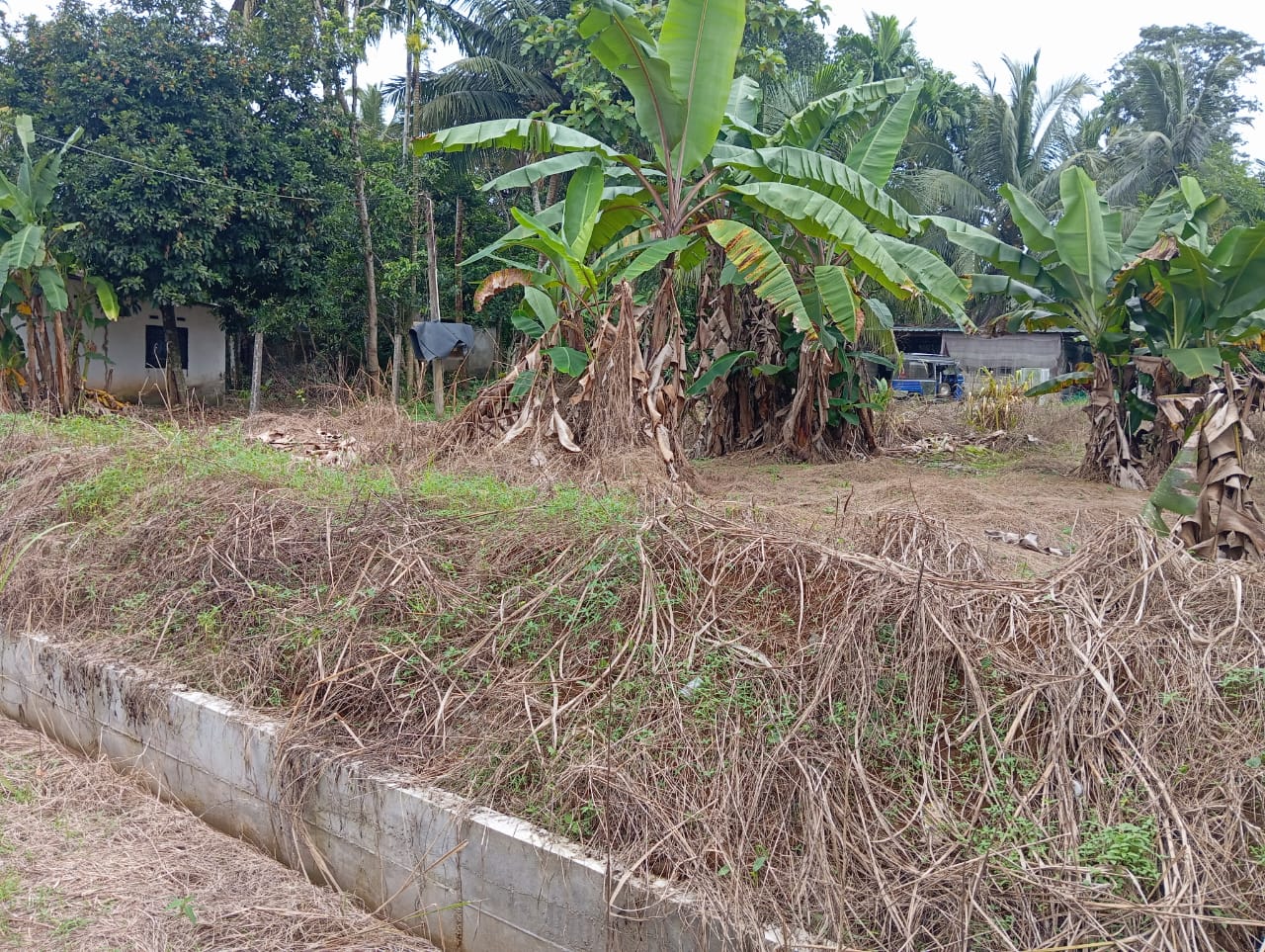 Land for Sale – Dadigamuwa