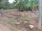 Land for Sale – Dadigamuwa