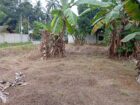 Land for Sale – Dadigamuwa