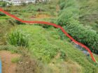 Land for Sale Nuwara Eliya
