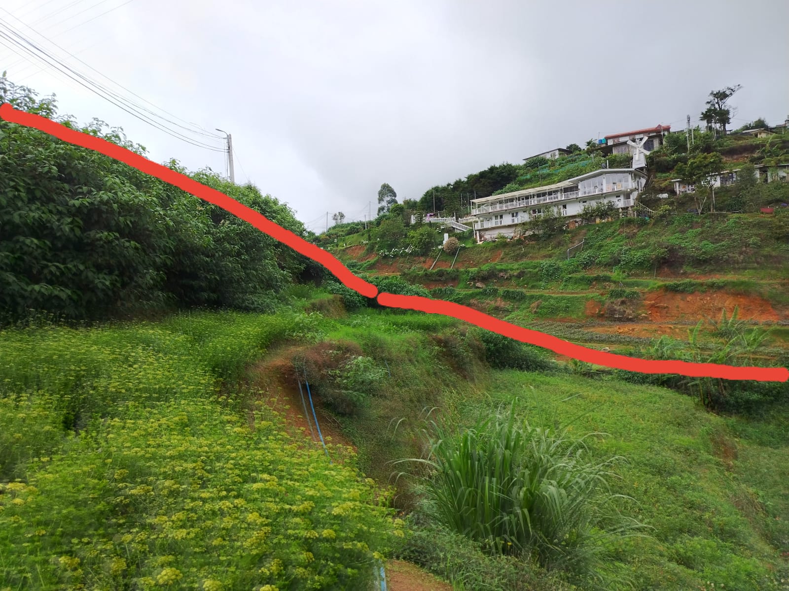 Land for Sale Nuwara Eliya