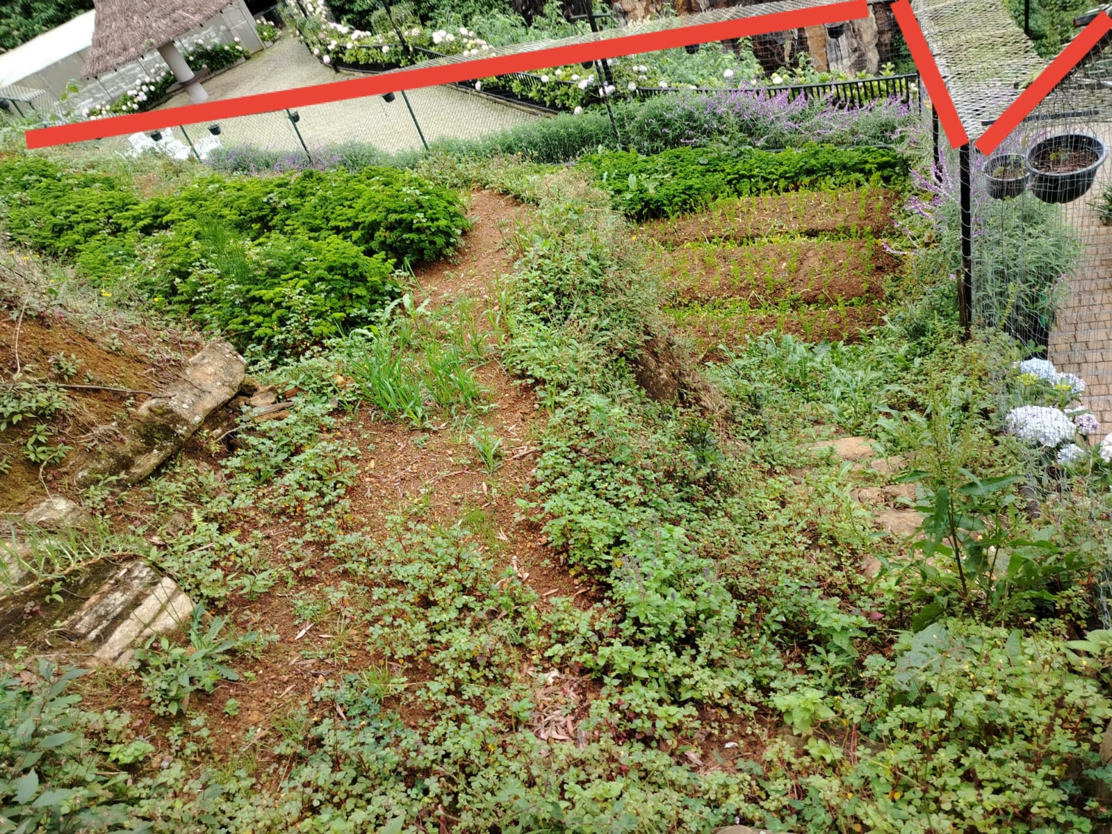 Land for Sale Nuwara Eliya