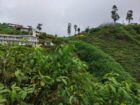 Land for Sale Nuwara Eliya