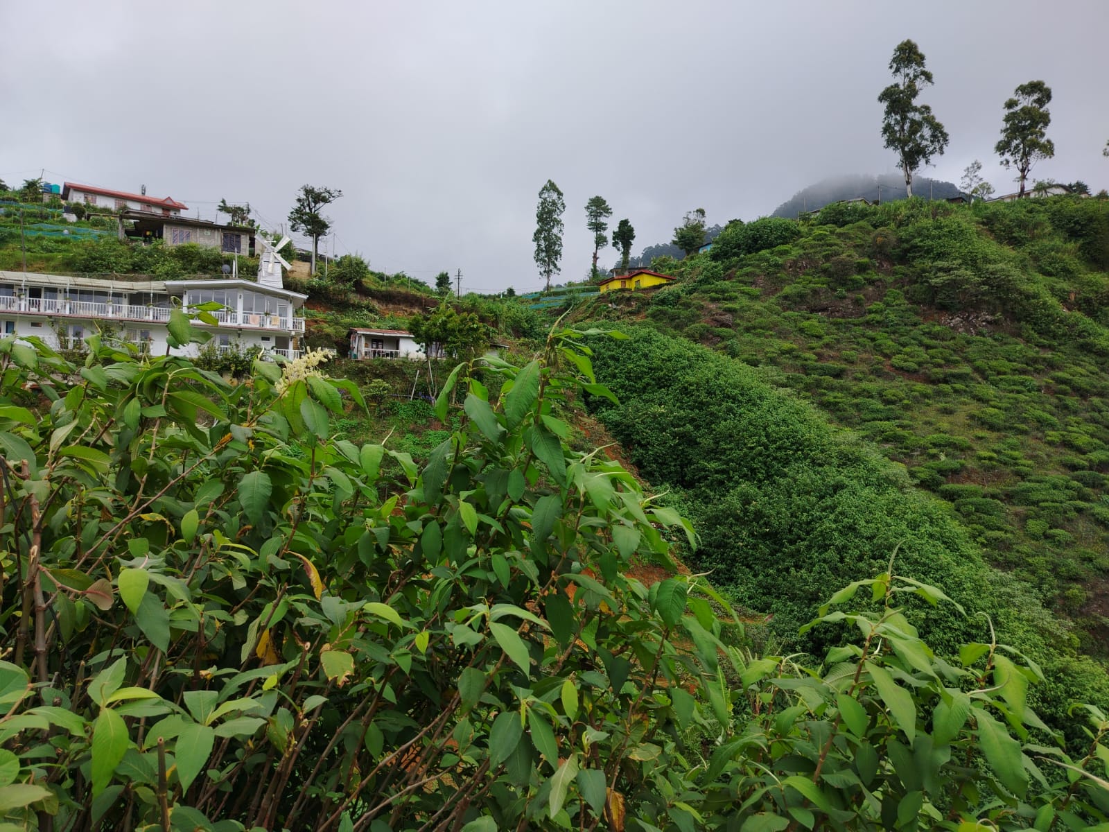 Land for Sale Nuwara Eliya