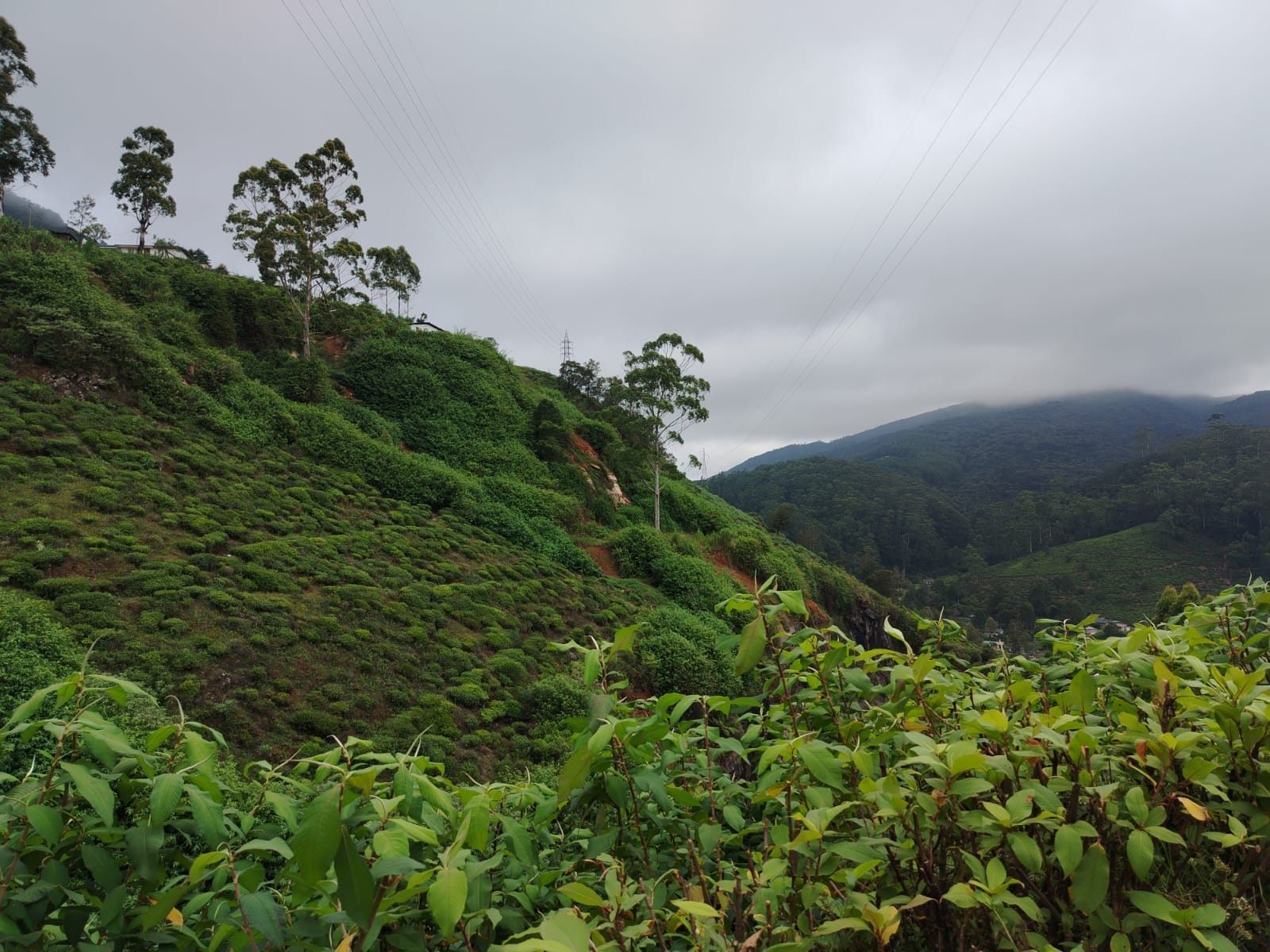 Land for Sale Nuwara Eliya