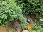 Land for Sale Nuwara Eliya