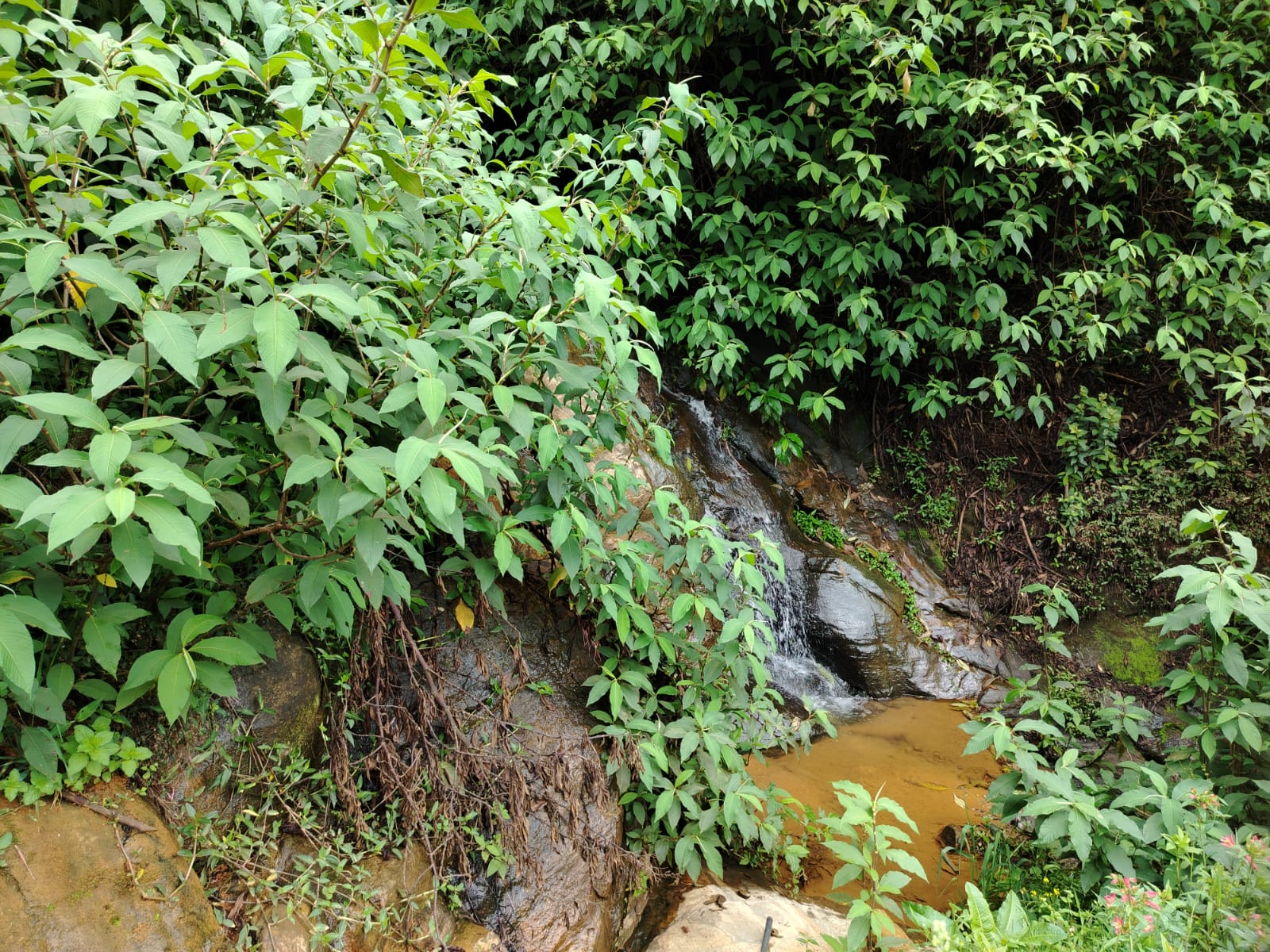 Land for Sale Nuwara Eliya