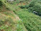 Land for Sale Nuwara Eliya