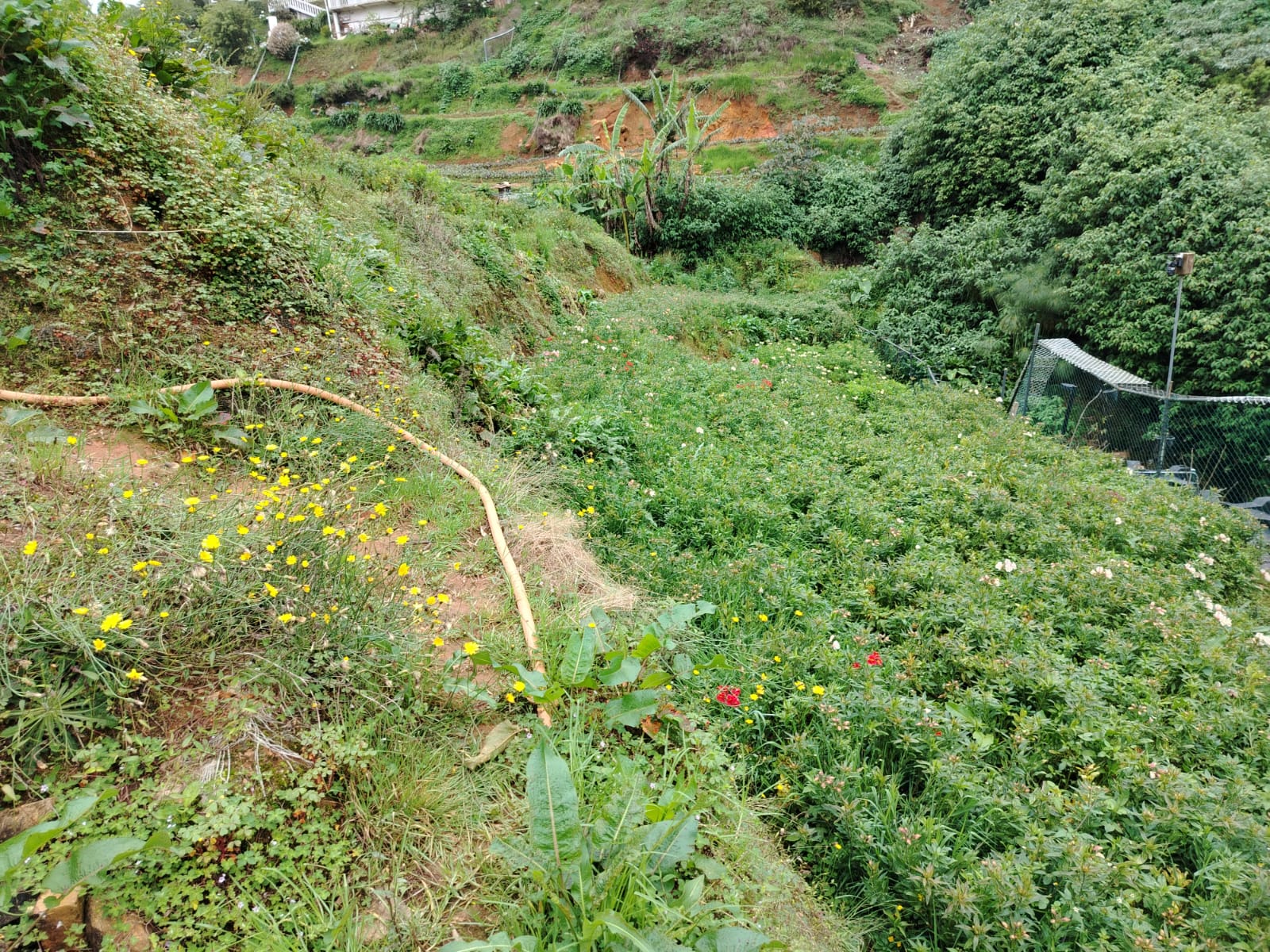 Land for Sale Nuwara Eliya