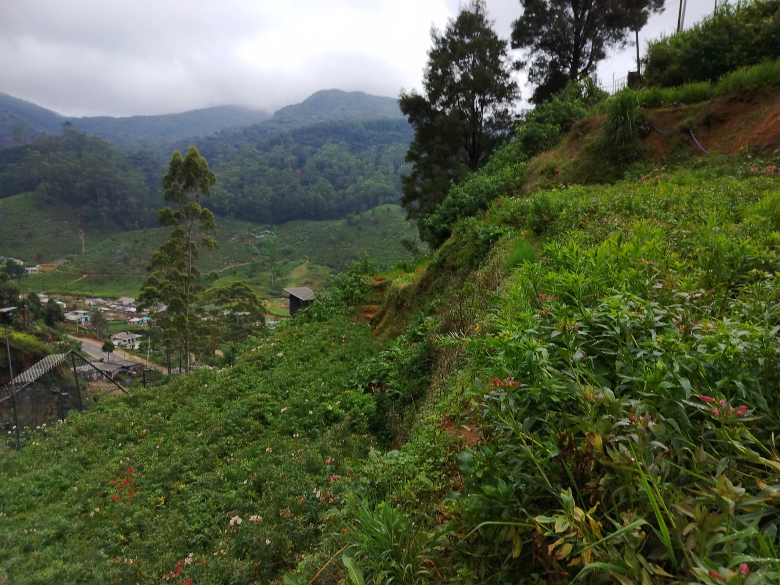 Land for Sale Nuwara Eliya