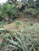 15 Perch Land for Sale in Katugastota