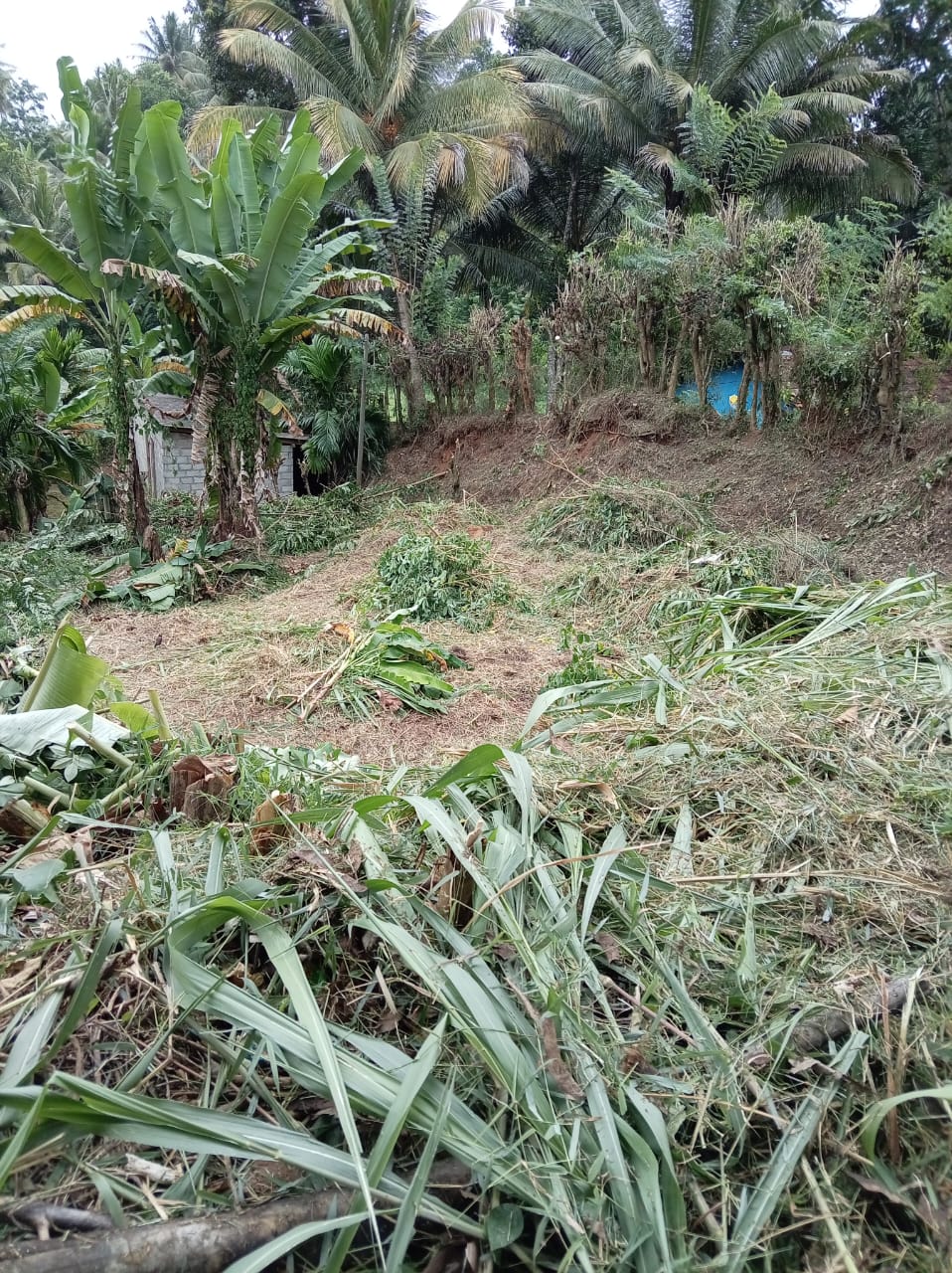15 Perch Land for Sale in Katugastota