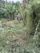 15 Perch Land for Sale in Katugastota