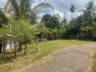 Land for Sale – Valuable Location