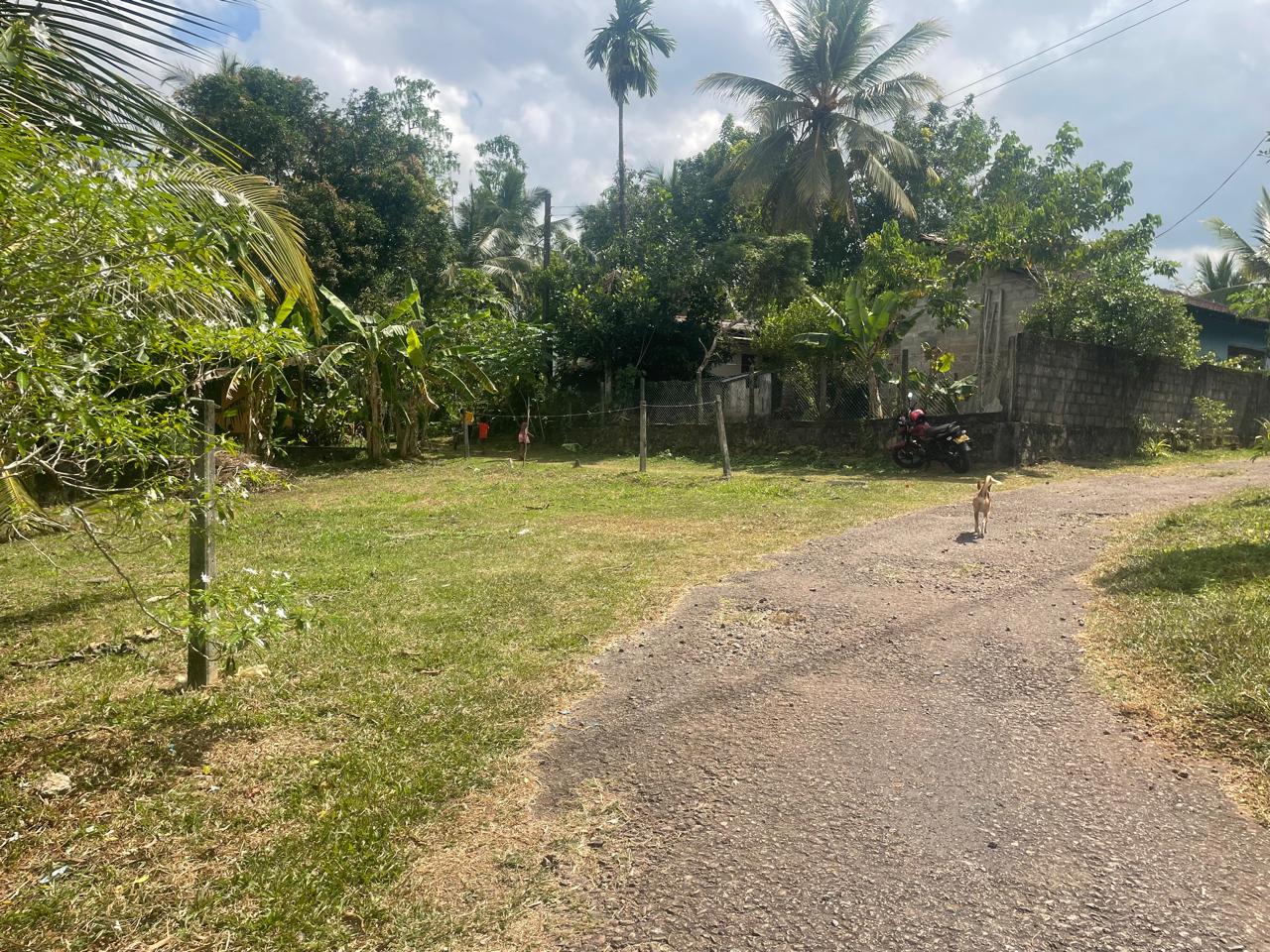 Land for Sale – Valuable Location
