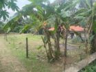 Land for Sale – Valuable Location