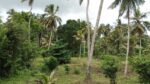 Land for Sale Weligama