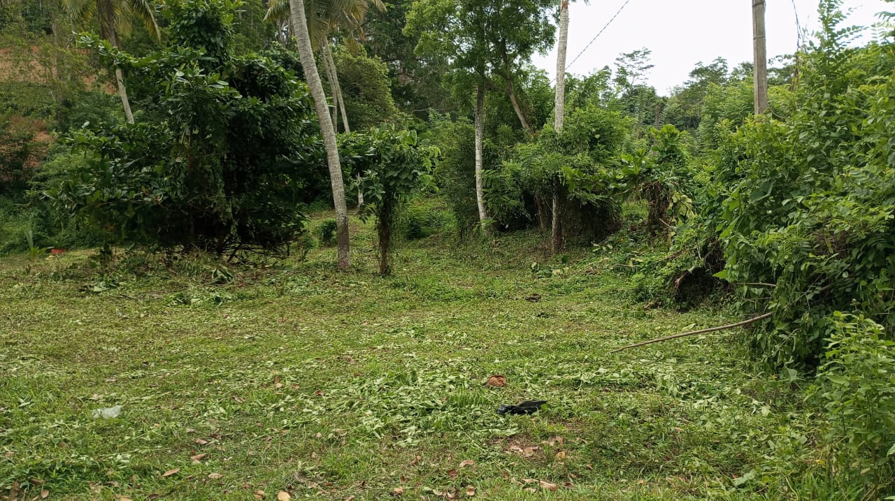 Land for Sale Weligama