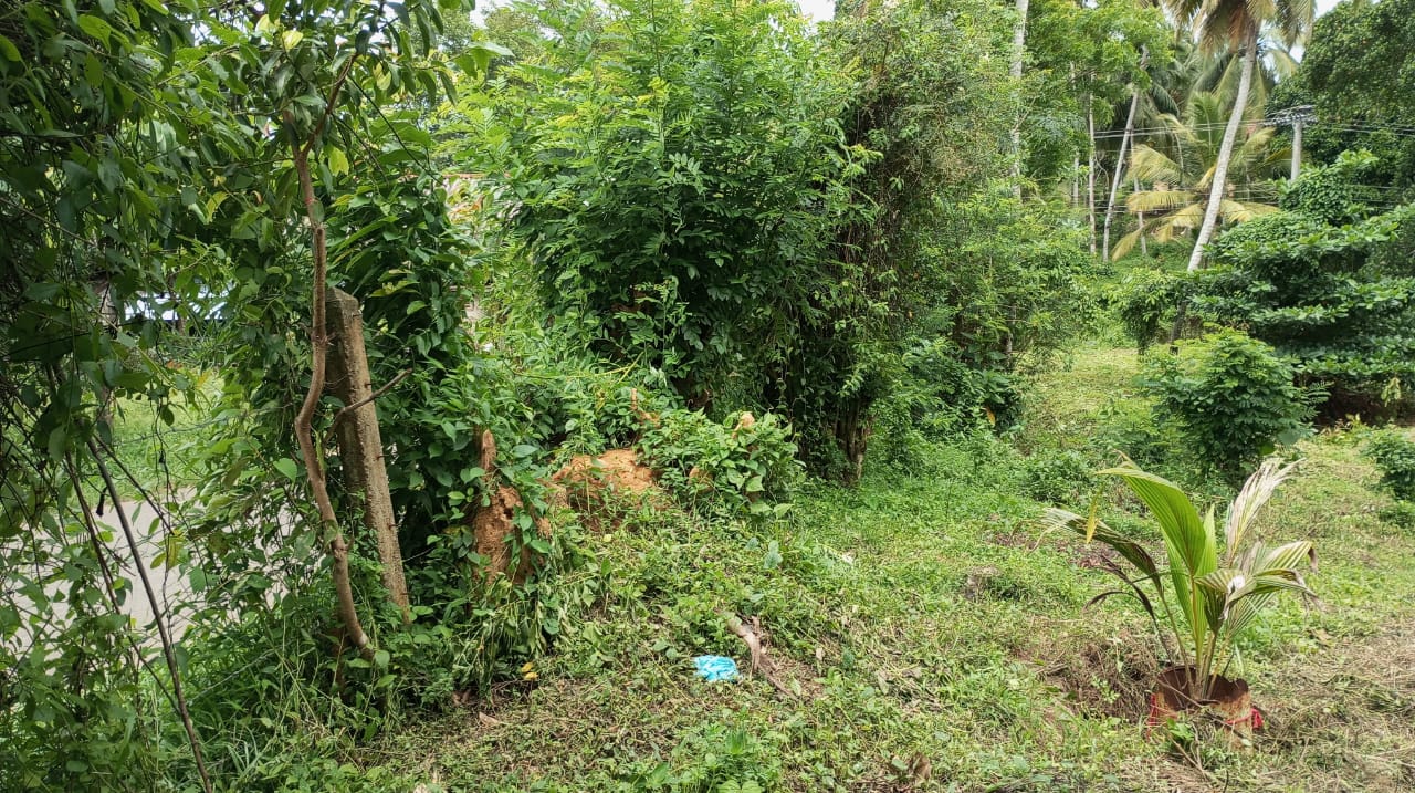 Land for Sale Weligama