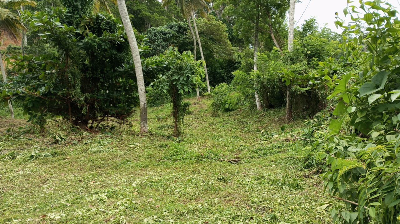 Land for Sale Weligama