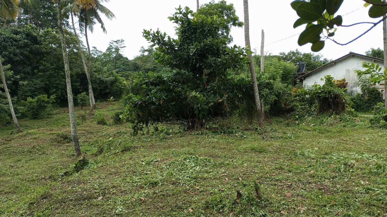 Land for Sale Weligama