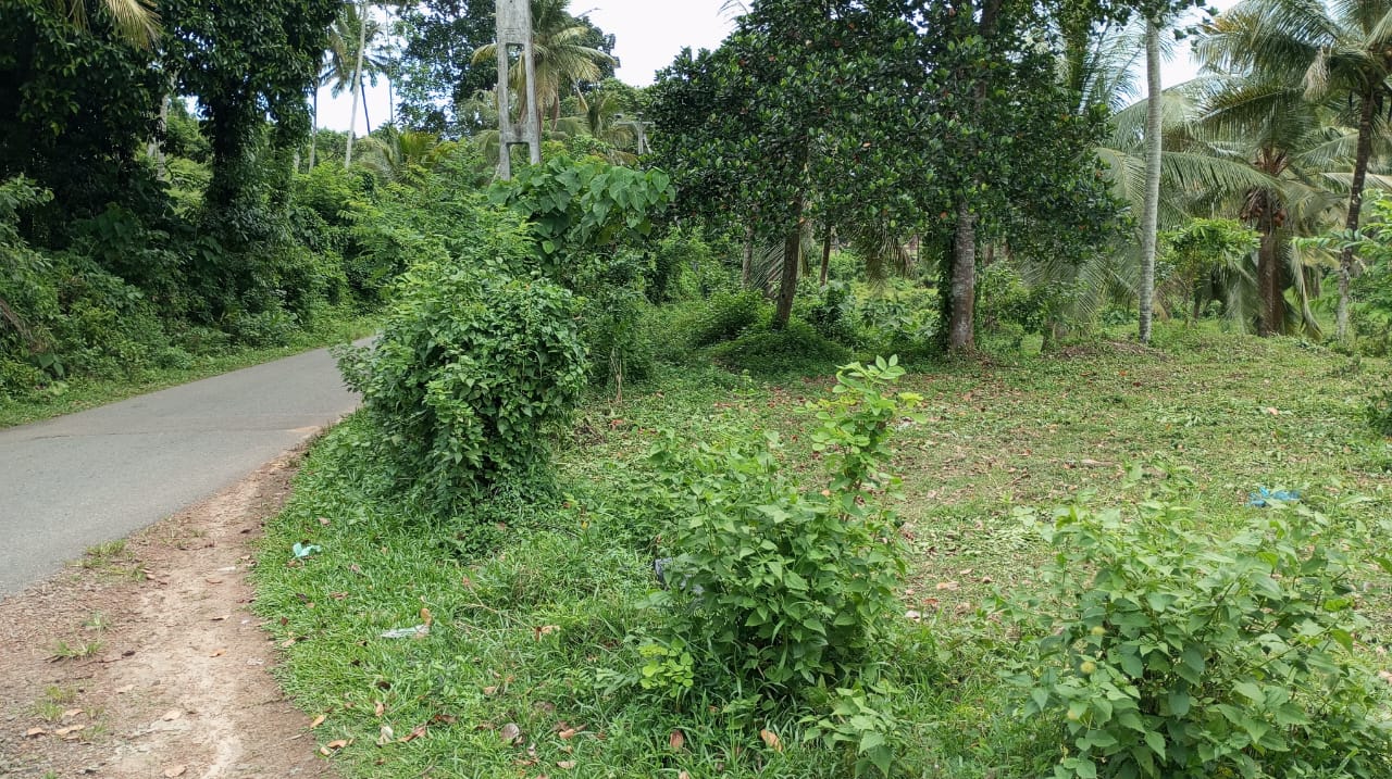 Land for Sale Weligama