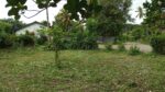 Land for Sale Weligama