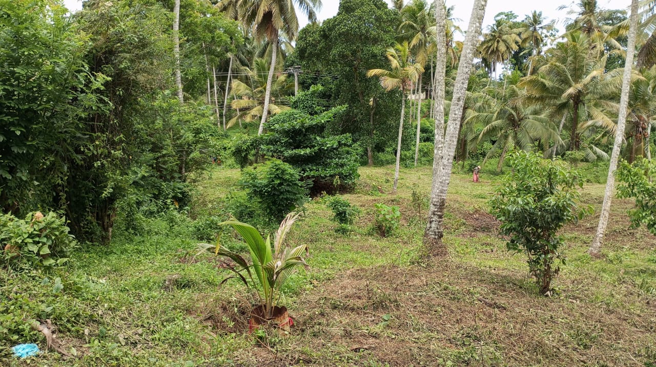 Land for Sale Weligama