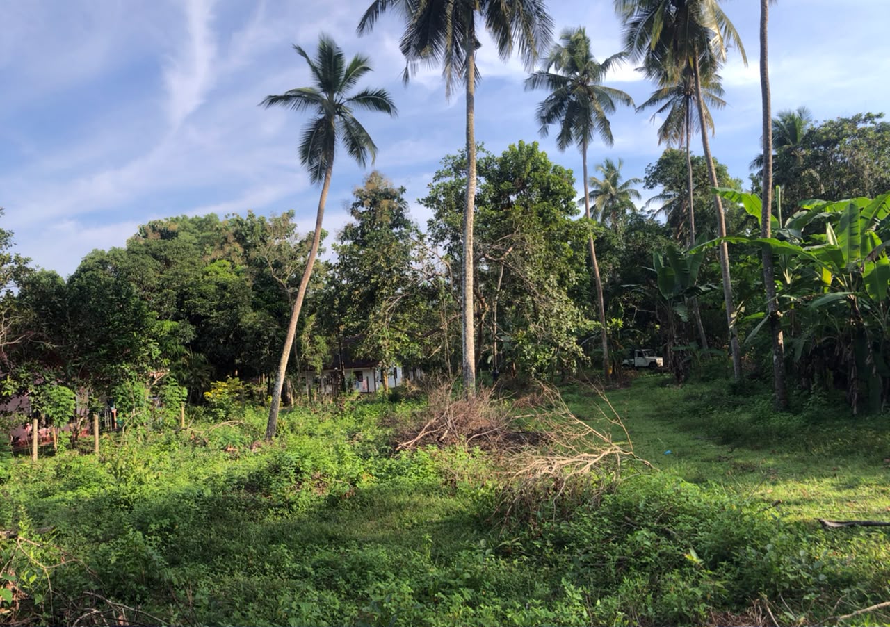 Land for Sale දුම්මලසුරිය