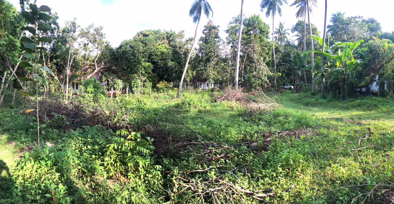 Land for Sale දුම්මලසුරිය