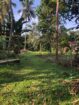 Land for Sale දුම්මලසුරිය