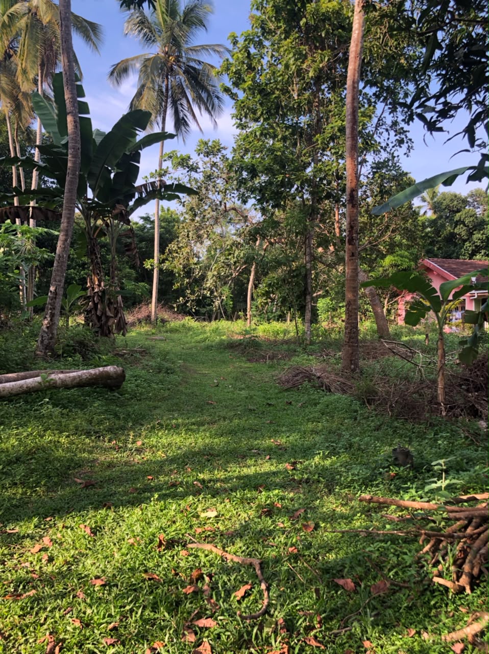 Land for Sale දුම්මලසුරිය