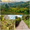 Land for Sale in Bandarawela