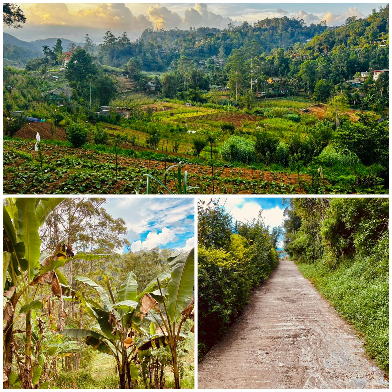 Land for Sale in Bandarawela