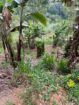 Land for Sale in Bandarawela