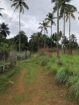 Valuable Land for Sale – Warankanda, Matale