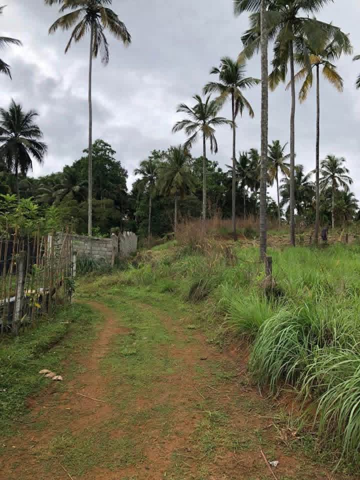 Valuable Land for Sale – Warankanda, Matale