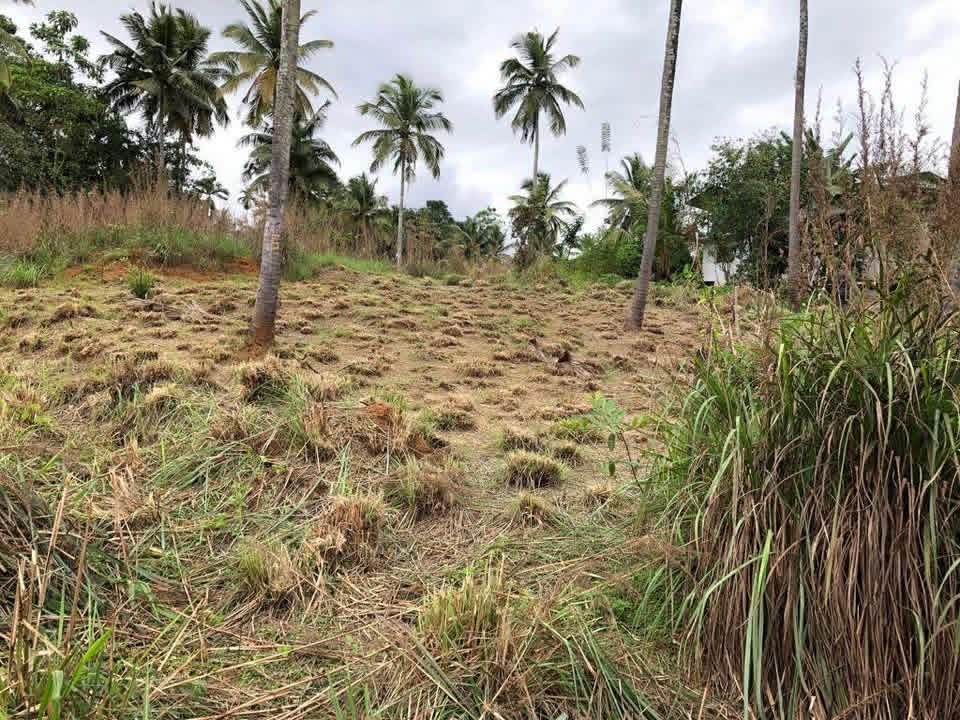 Valuable Land for Sale – Warankanda, Matale