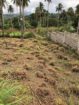 Valuable Land for Sale – Warankanda, Matale