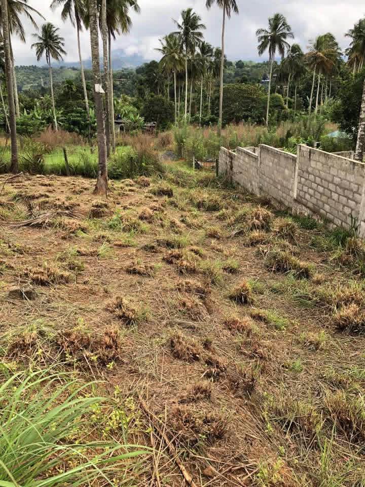 Valuable Land for Sale – Warankanda, Matale