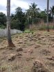 Valuable Land for Sale – Warankanda, Matale
