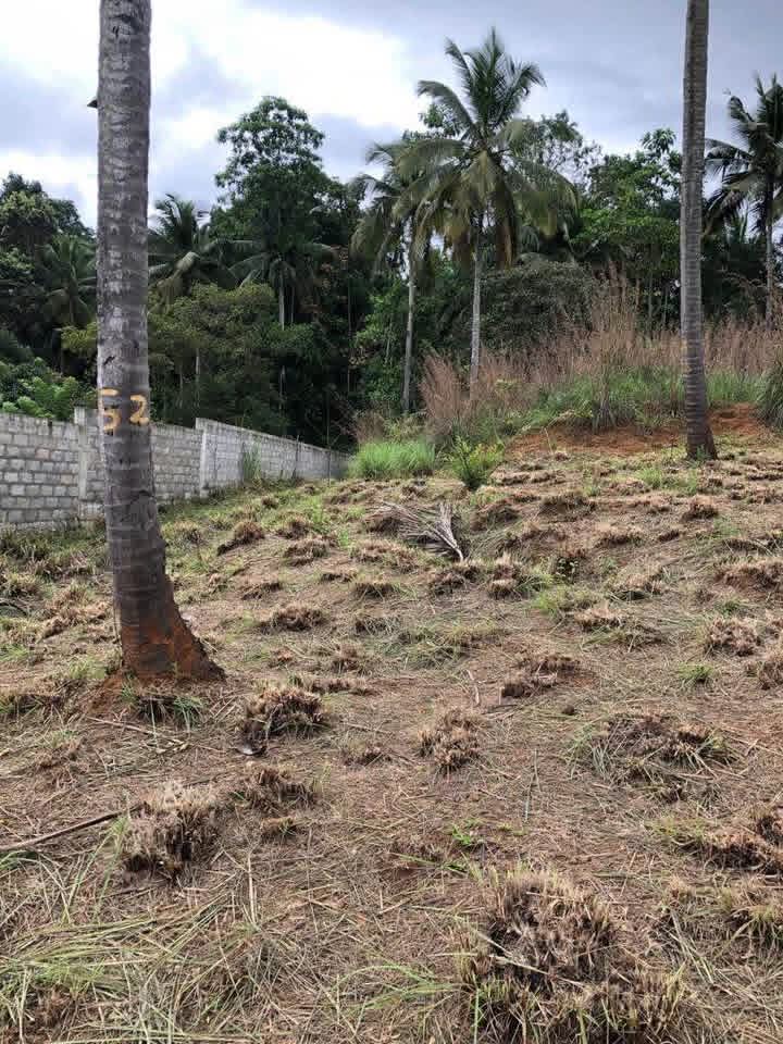 Valuable Land for Sale – Warankanda, Matale