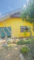 WhatsApp-Image-2026-07-07-at-12.19.13
