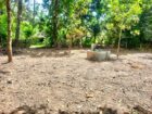 Land of 40P for Sale Near Katunayake International Airport