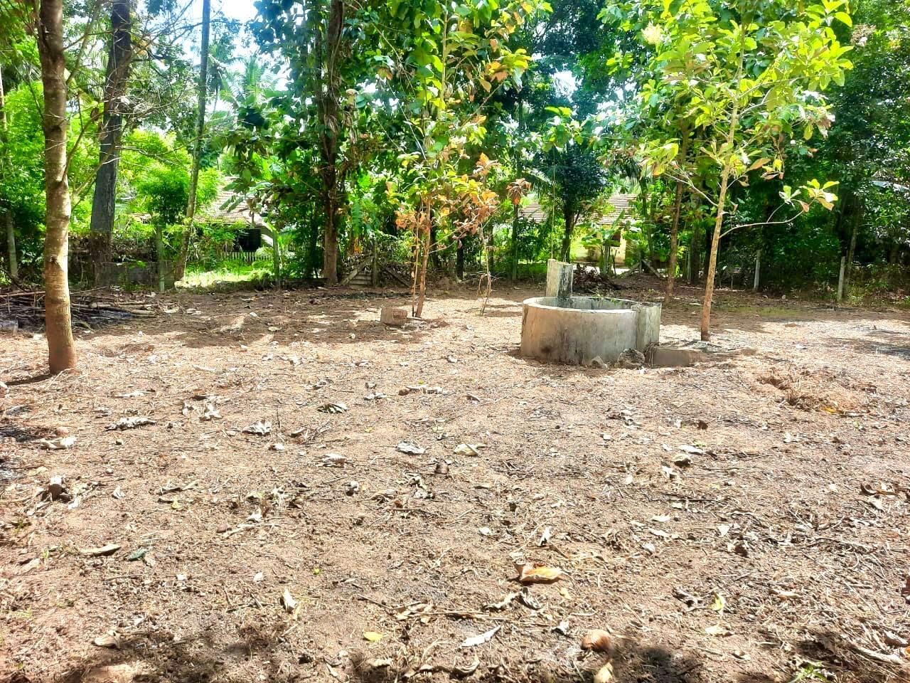 Land of 40P for Sale Near Katunayake International Airport