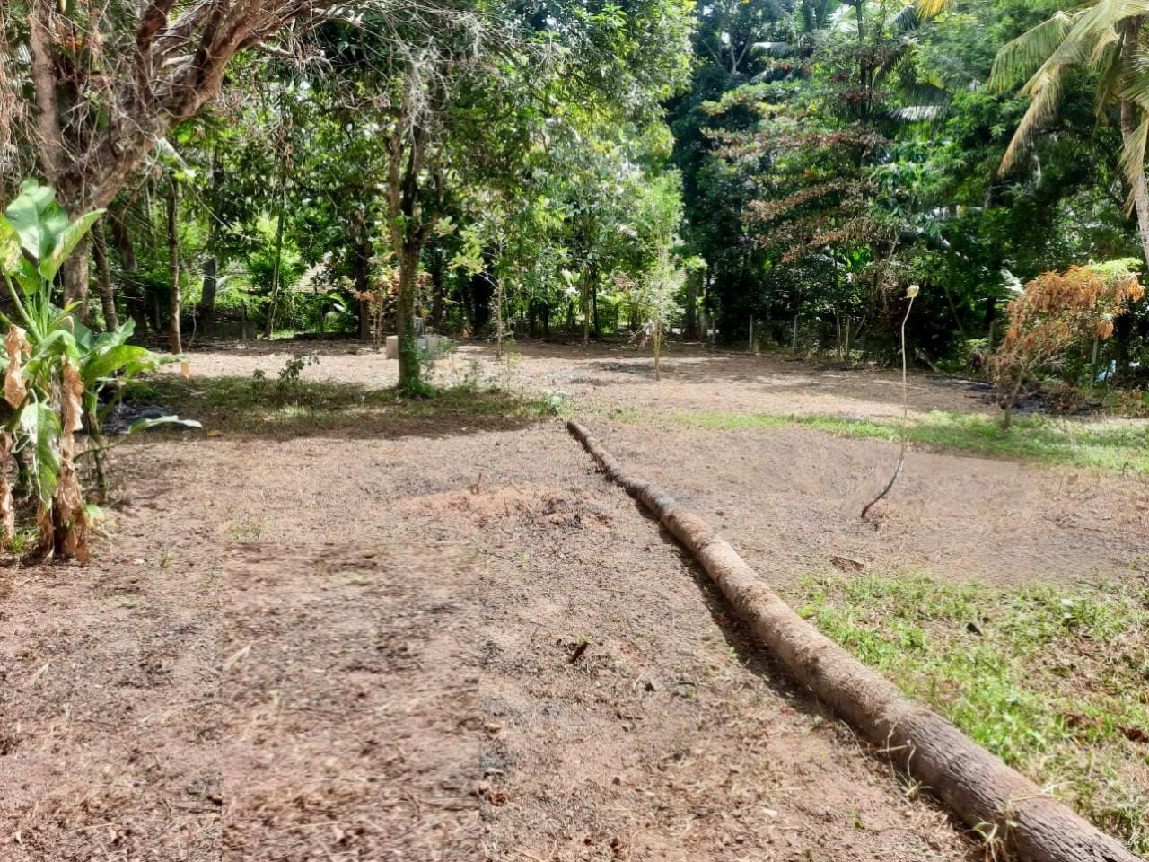 Land of 40P for Sale Near Katunayake International Airport